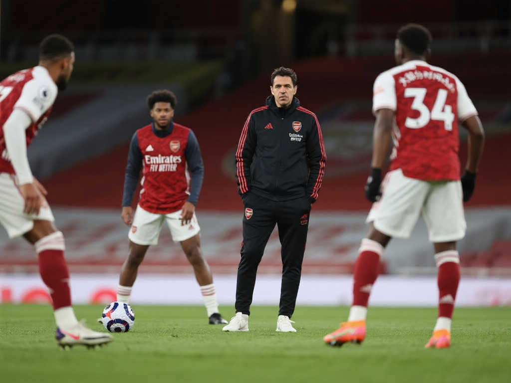 经典案例分 经典案例分