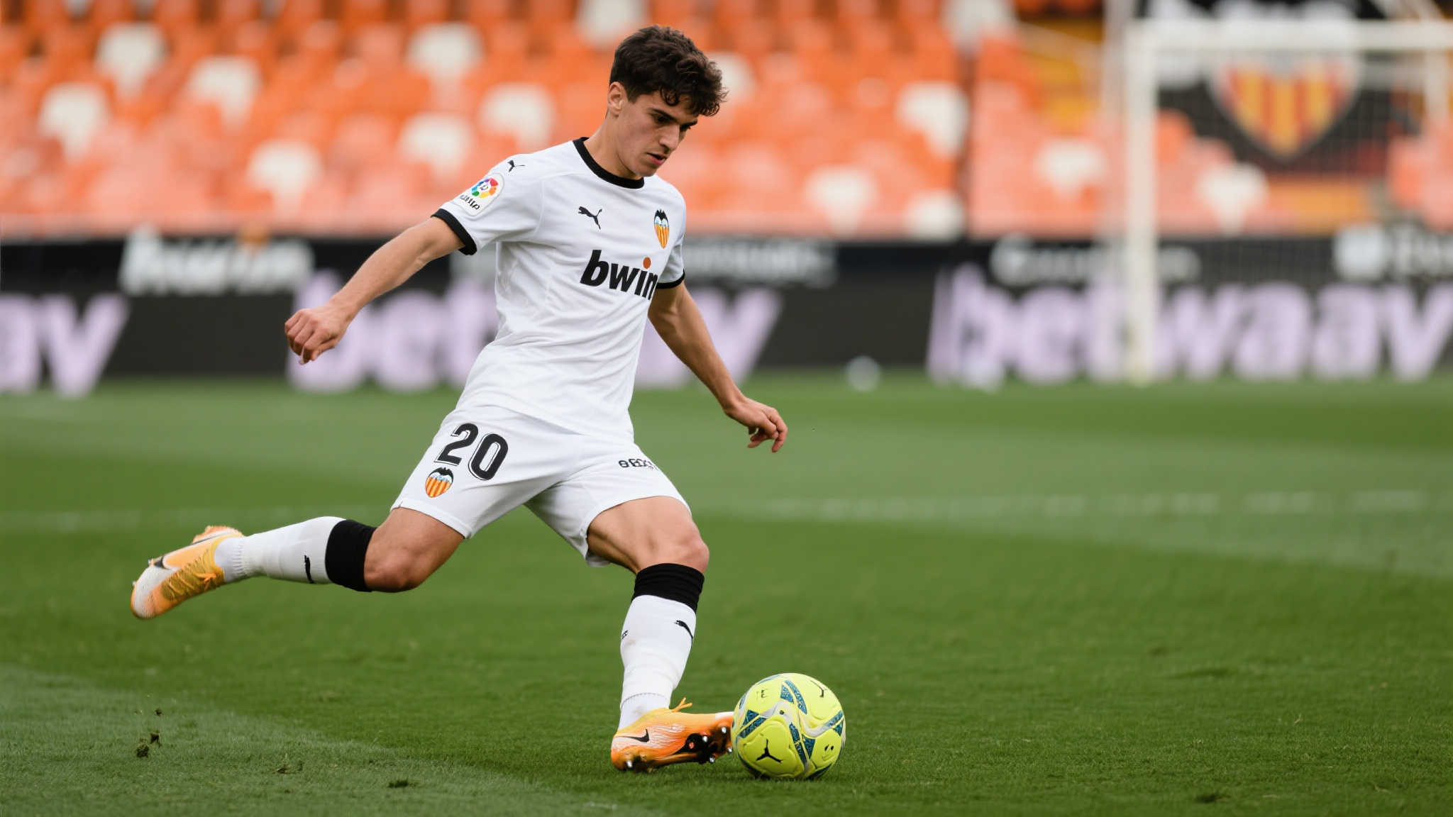 人赛季的 人赛季的